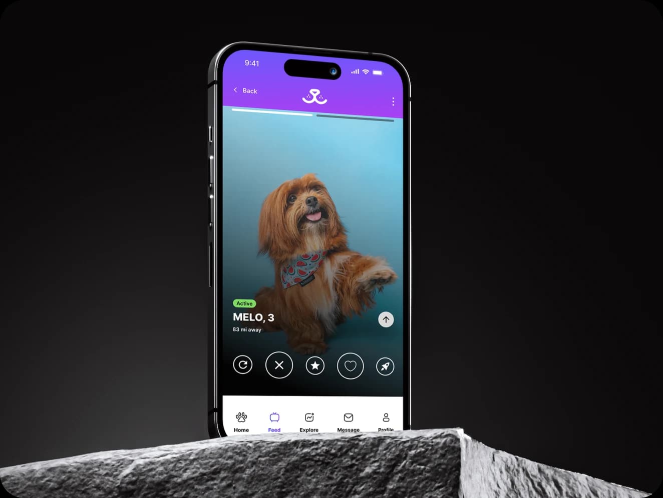 Paw Play Love Screenshot 2