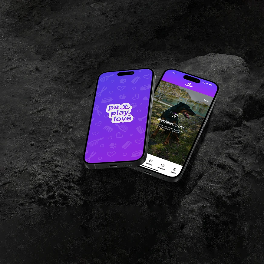 Portfolio project showcase 1 - Code Encoders web development work